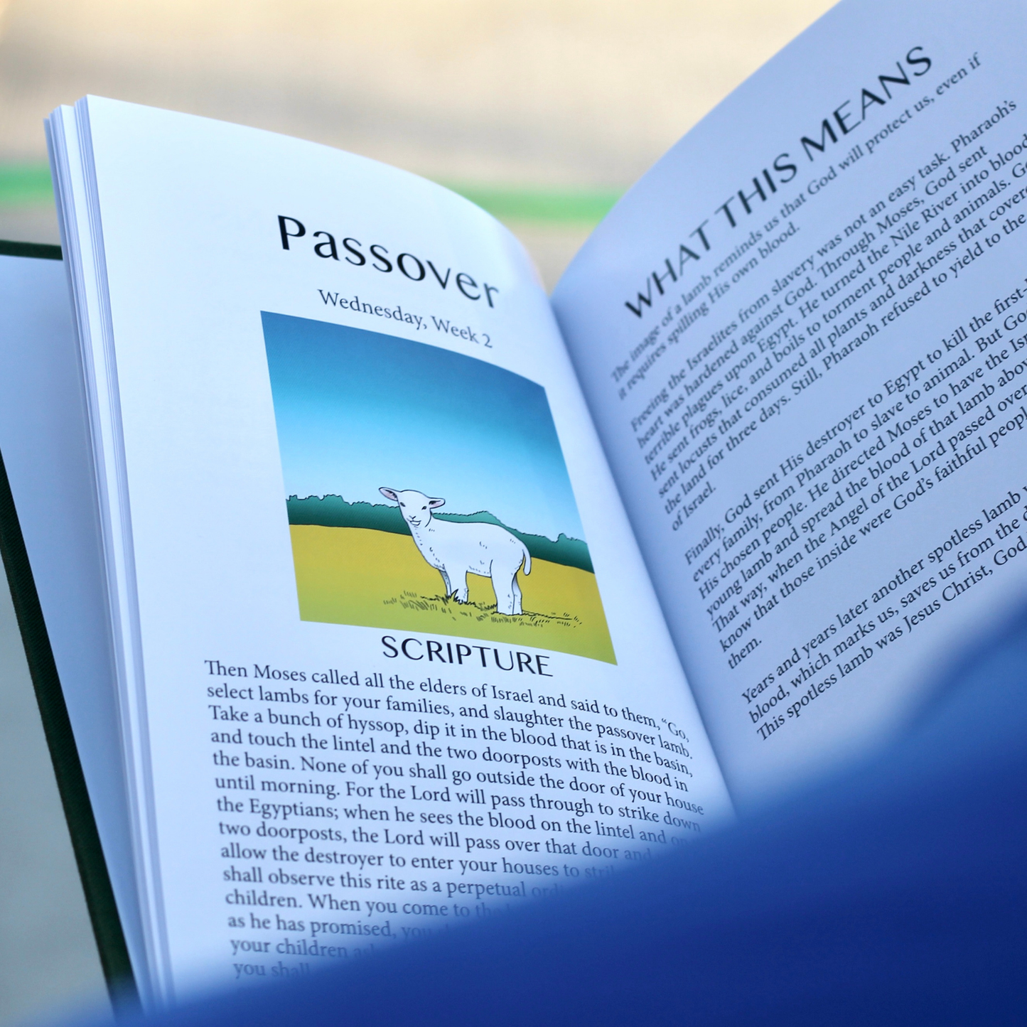 The Jesse Tree: Advent Devotional for Families