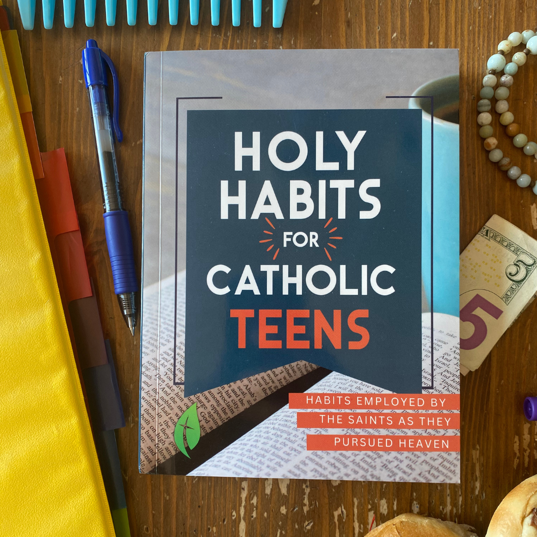 Book titled 'Holy Habits for Catholic Teens' on a wooden surface with stationery items.