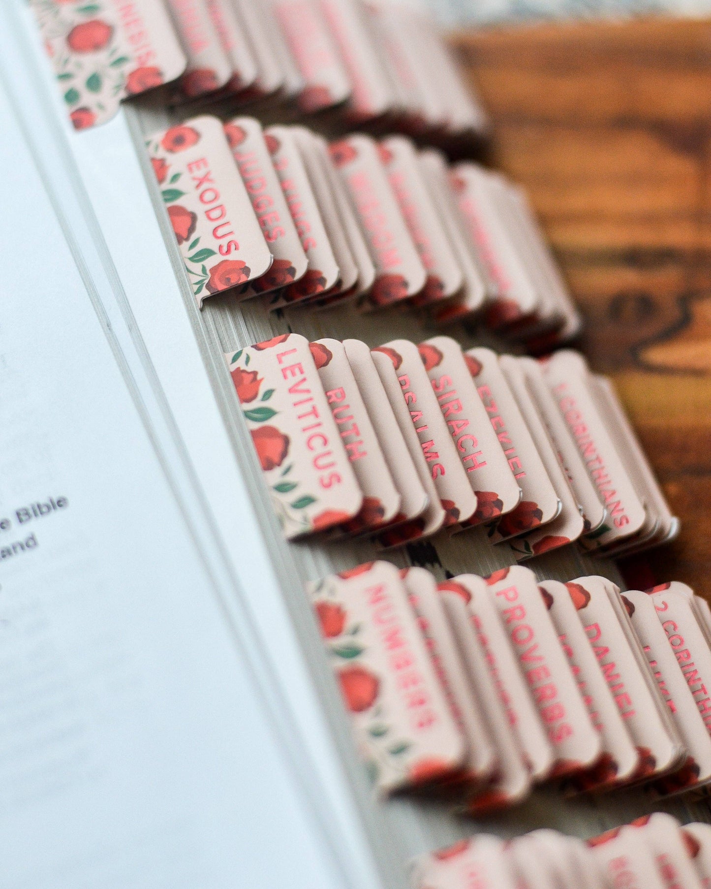 Shower of Roses Catholic Bible Tabs