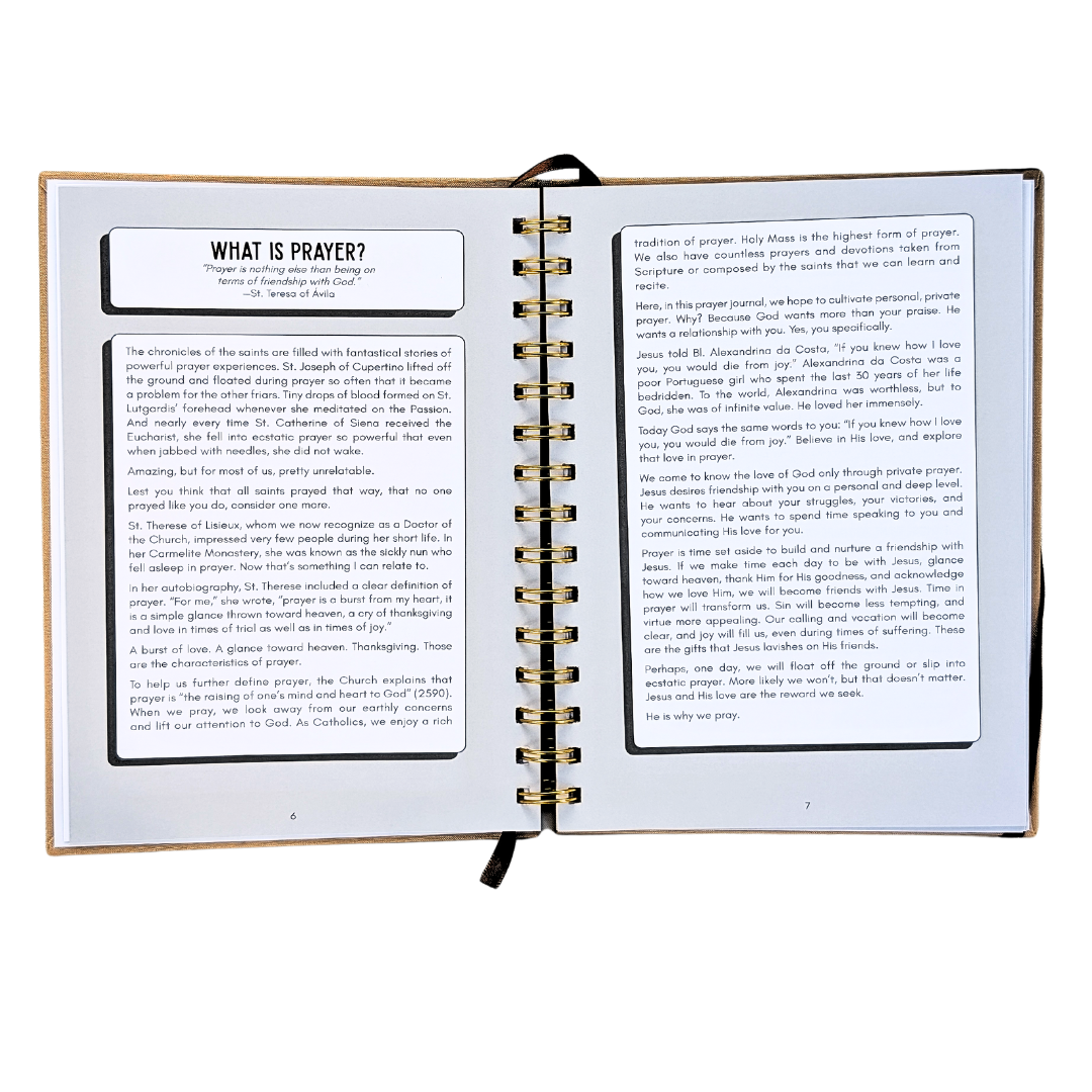 Friendship with Christ Prayer Journal