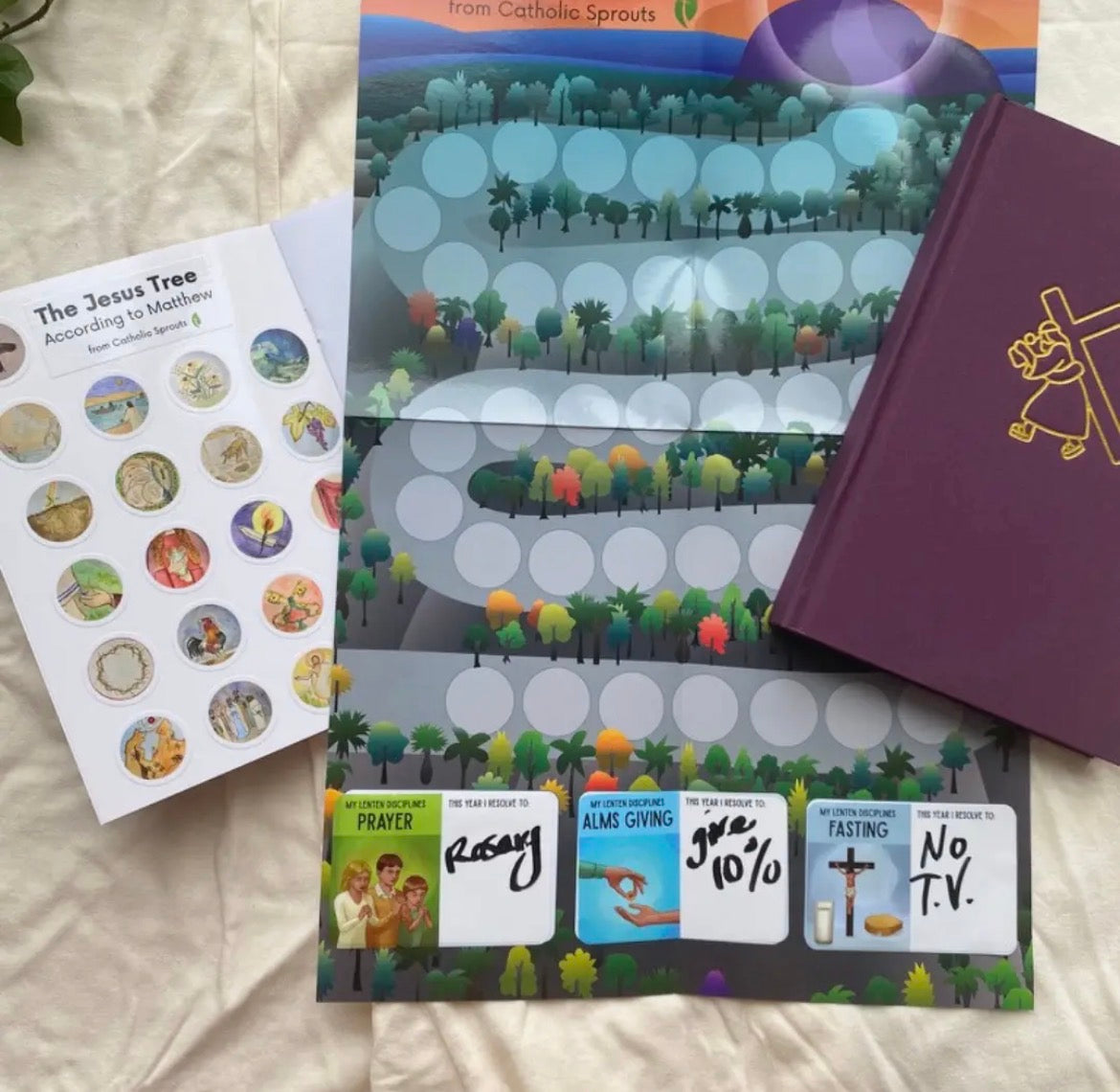 The Jesus Tree According to Matthew: Lenten Devotional for Families