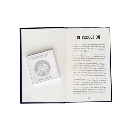 The Quest: A Journey through Advent to Epiphany for Catholic Families