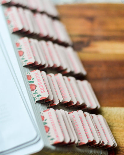 Shower of Roses Catholic Bible Tabs