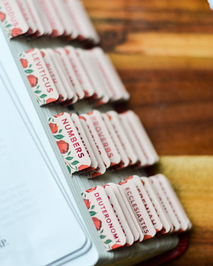 Shower of Roses Catholic Bible Tabs
