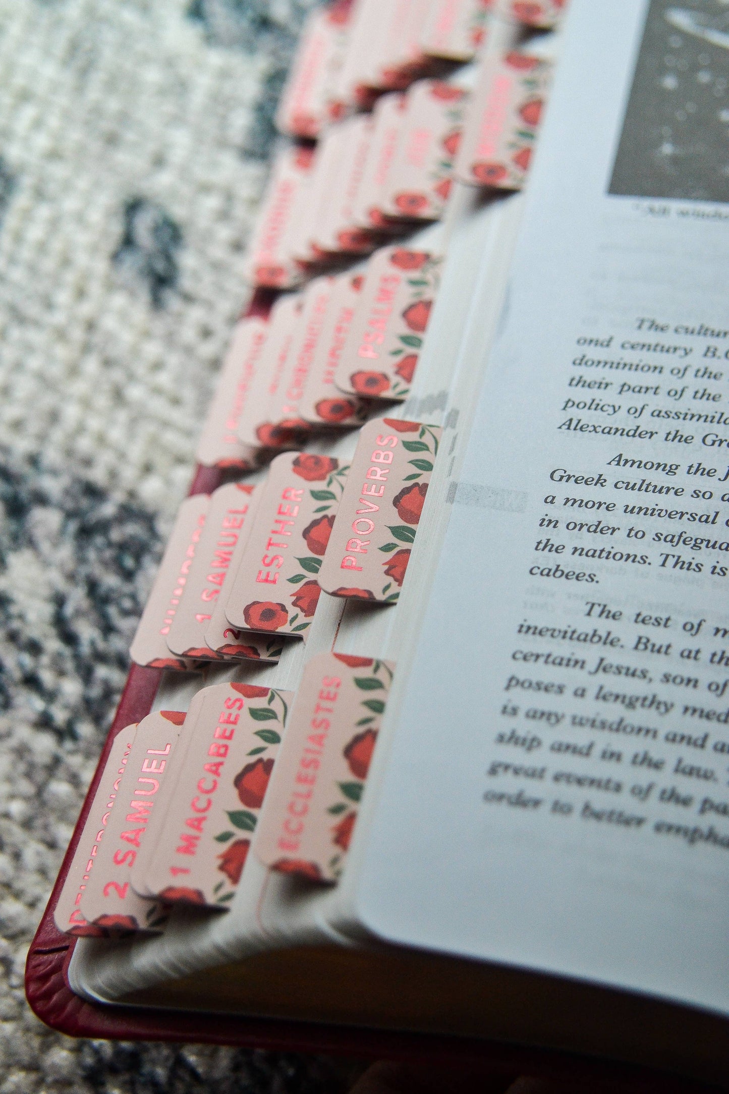 Shower of Roses Catholic Bible Tabs